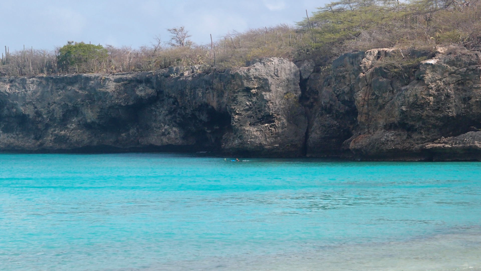 2022-04-15 Grote Knipp (am Strand und im Wasser) (Foto, Video)